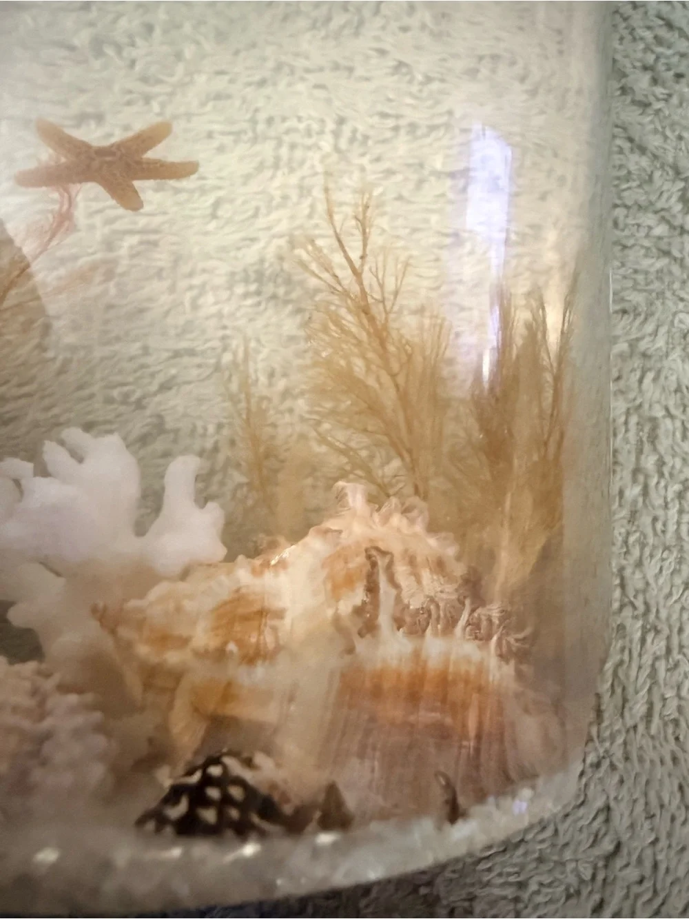 Natural Seagrass & Coral Aquarium Décor - Neutral Tan